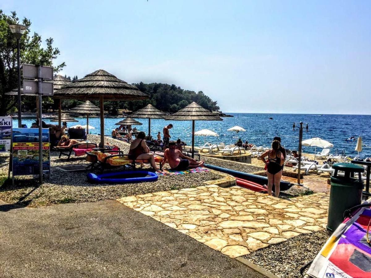 Apartman Maslina
