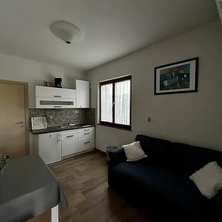 Ferienwohnung Apartman Maslina Poreč Exterior foto