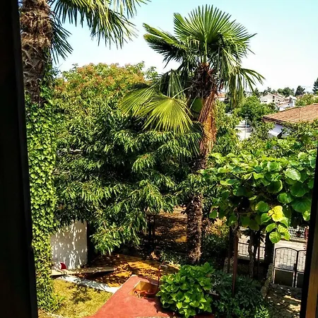Ferienwohnung Apartman Maslina Poreč Exterior foto